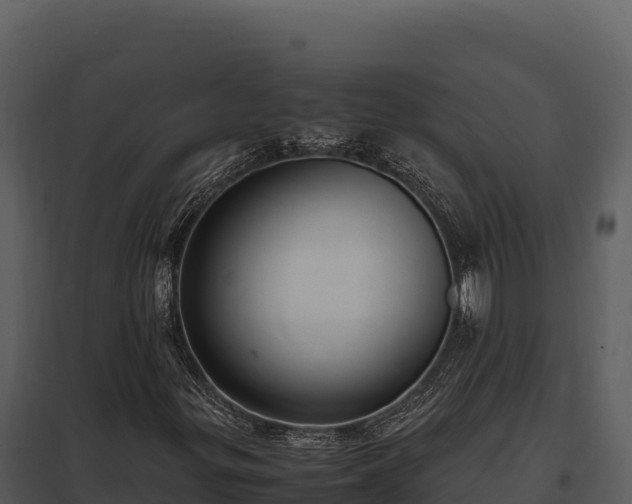 X0000097961299200804011649
