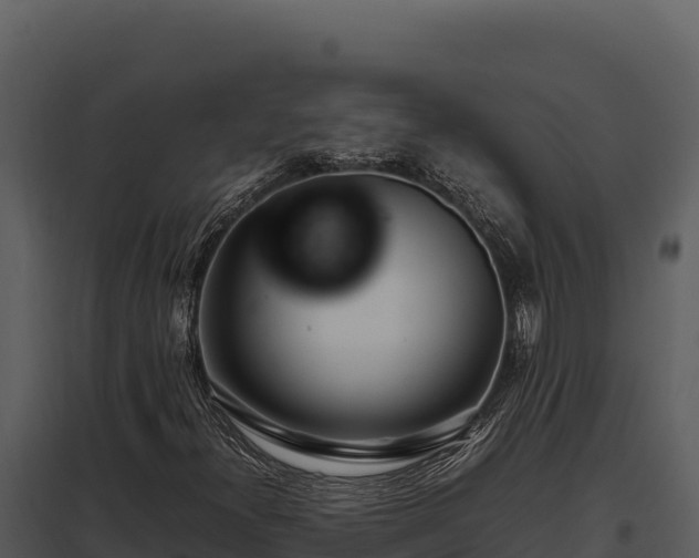 X0000097961300200804011649