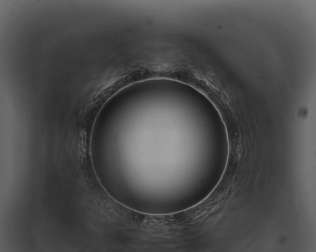 X0000097961301200804011649