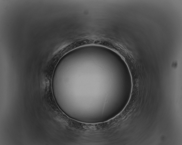 X0000097961302200804011649