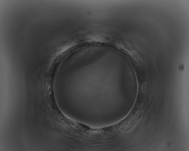 X0000097961303200804011649