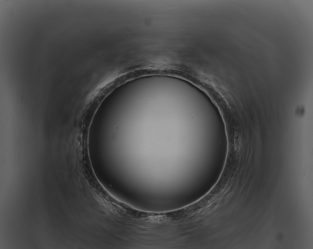 X0000097961304200804011649