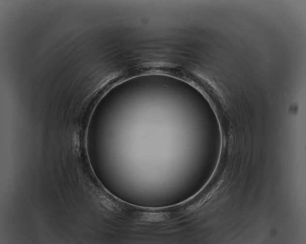 X0000097961305200804011649