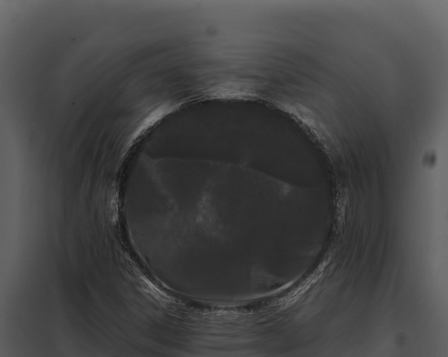X0000097961306200804011649