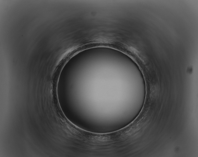 X0000097961307200804011649