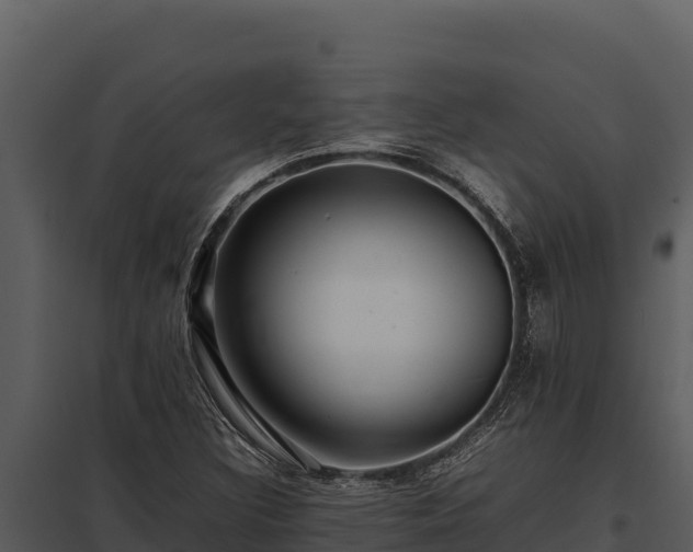 X0000097961308200804011649