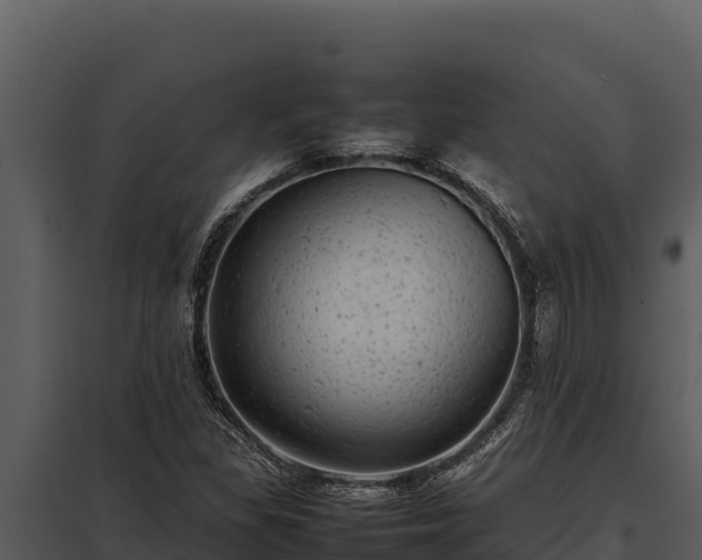 X0000097961309200804011649