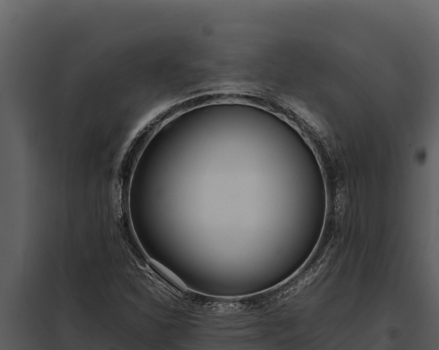 X0000097961310200804011649