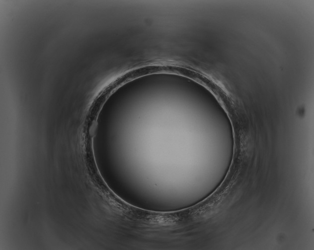 X0000097961311200804011649