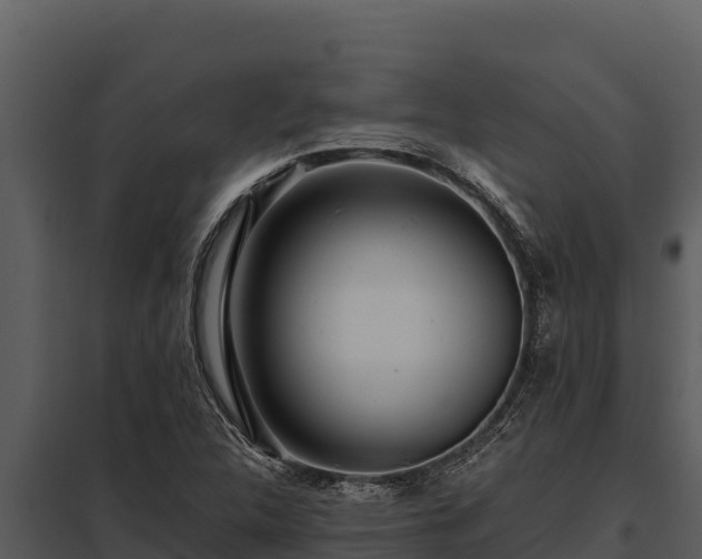 X0000097961312200804011649