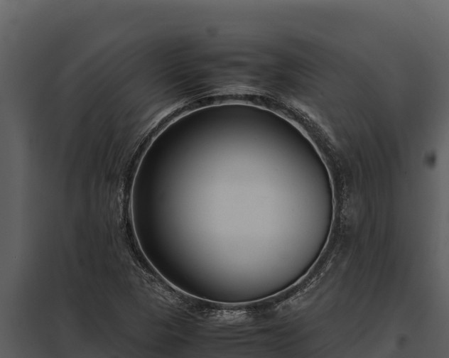 X0000097961313200804011649