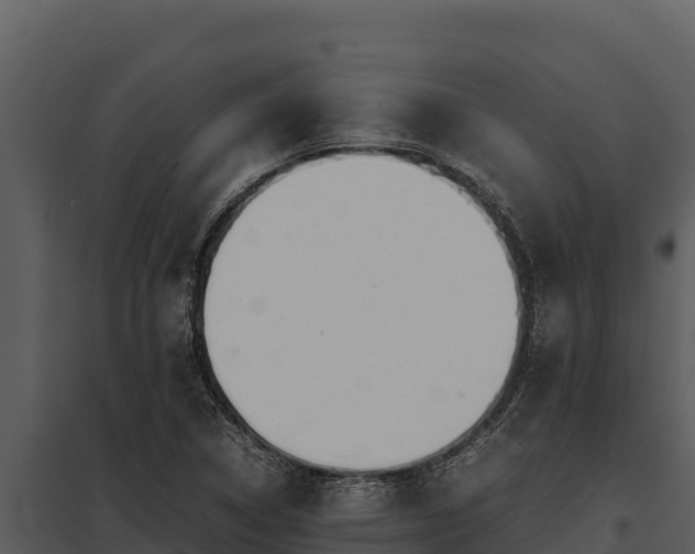 X0000097961314200804011649