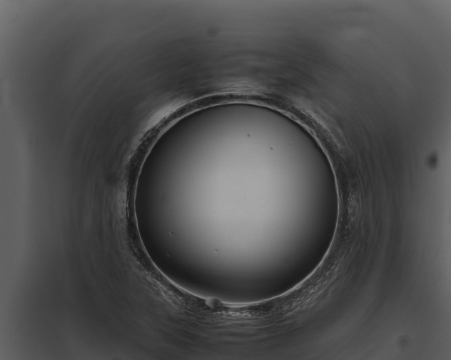 X0000097961315200804011649