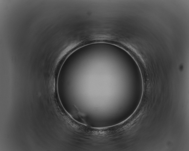 X0000097961317200804011649