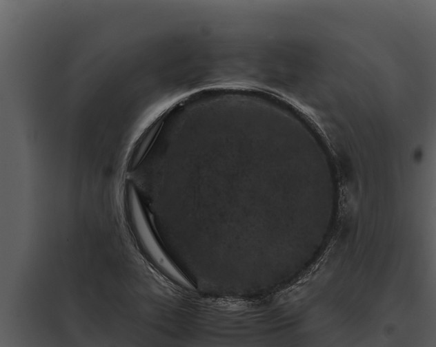 X0000097961319200804011649