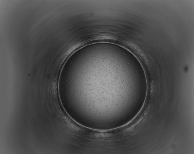 X0000097961321200804011649