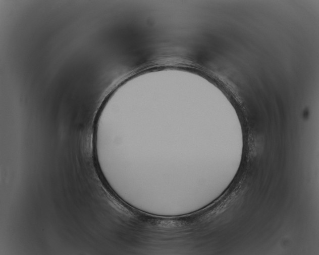 X0000097961322200804011649