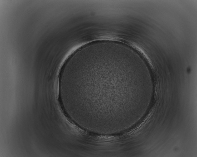 X0000097961323200804011649