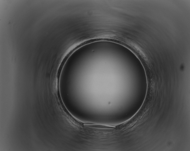 X0000097961324200804011649