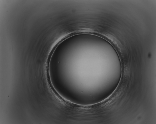 X0000097961325200804011649
