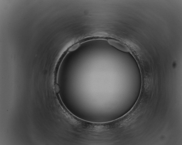 X0000097961326200804011649