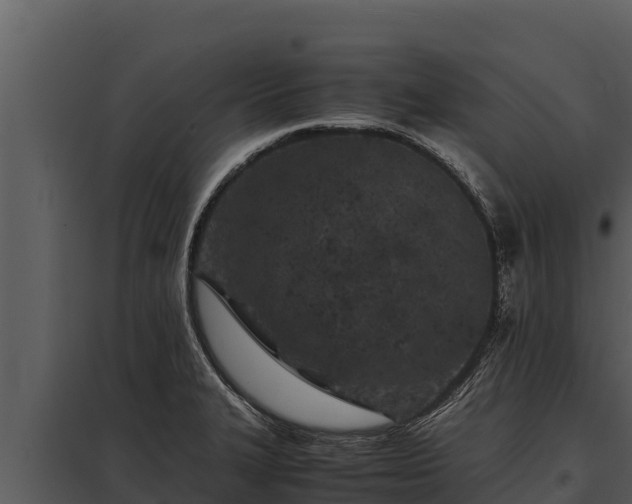 X0000097961327200804011649