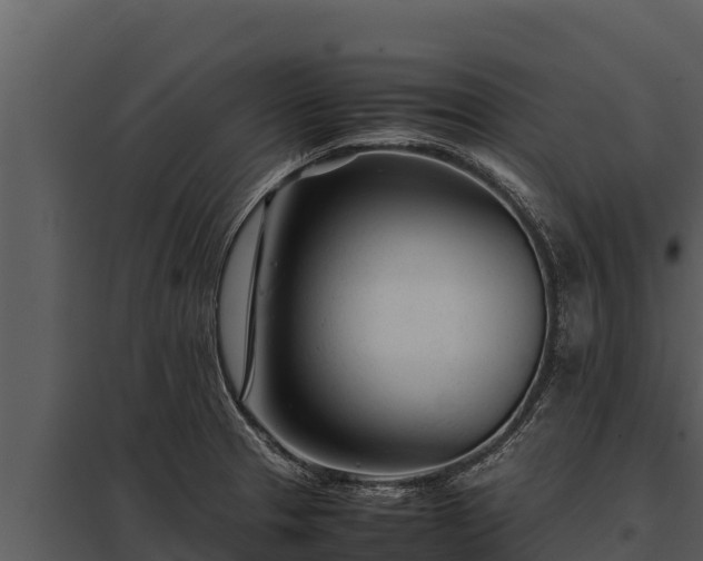 X0000097961329200804011649