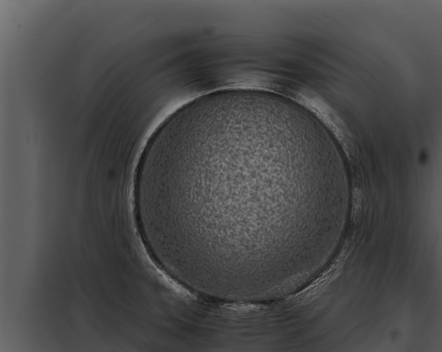 X0000097961331200804011649