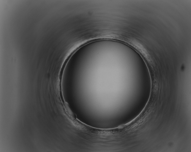 X0000097961332200804011649