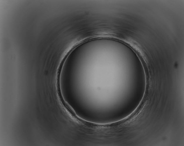 X0000097961333200804011649