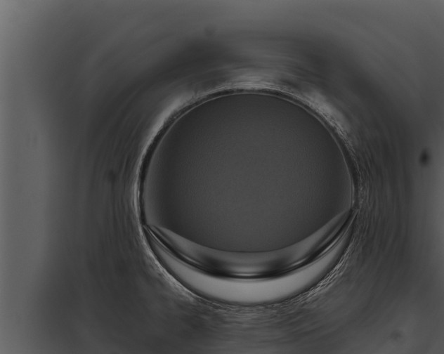 X0000097961334200804011649