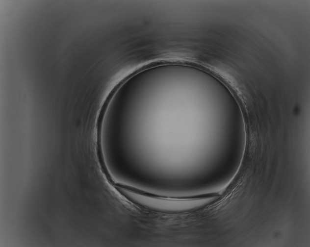 X0000097961335200804011649