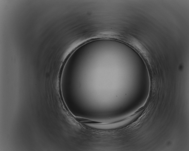 X0000097961336200804011649