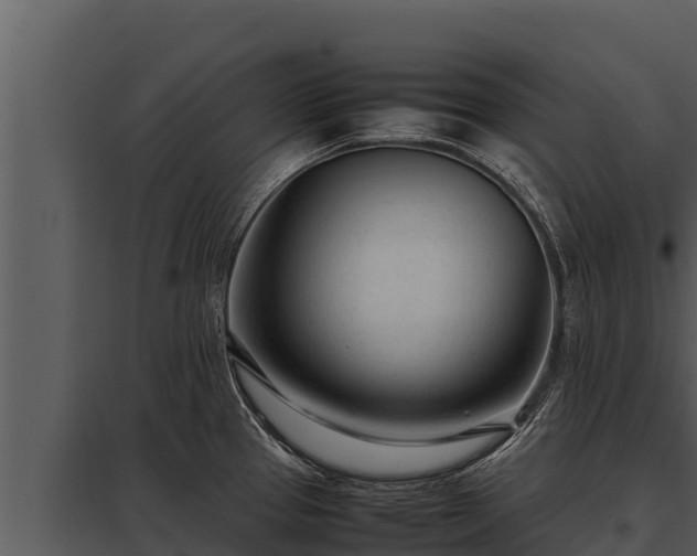 X0000097961337200804011649