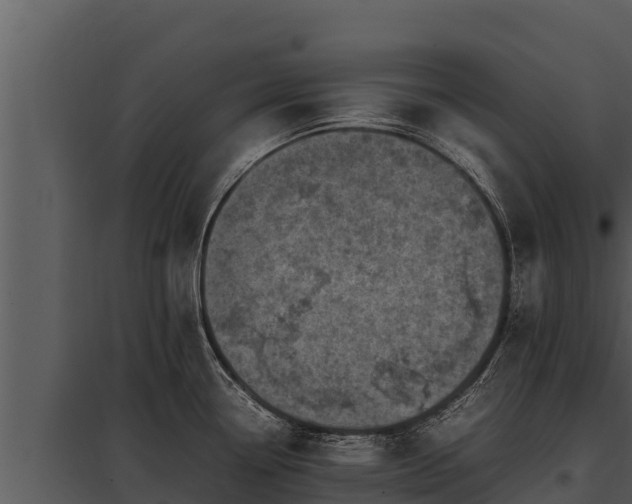 X0000097961338200804011649