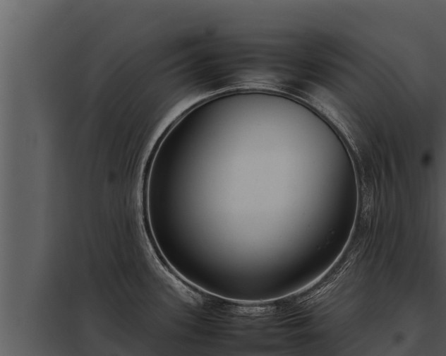 X0000097961339200804011649