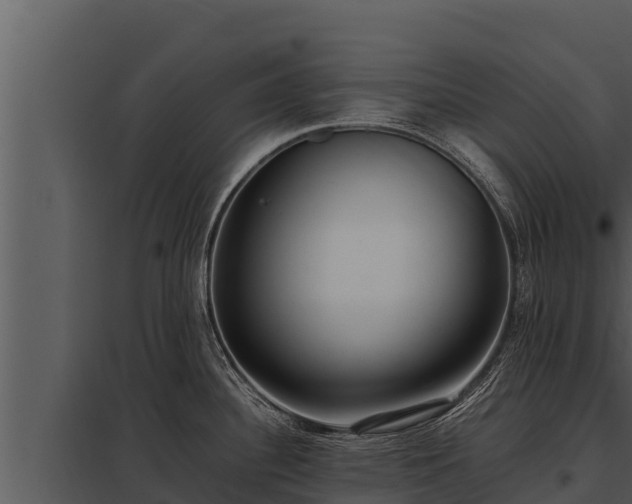 X0000097961340200804011649