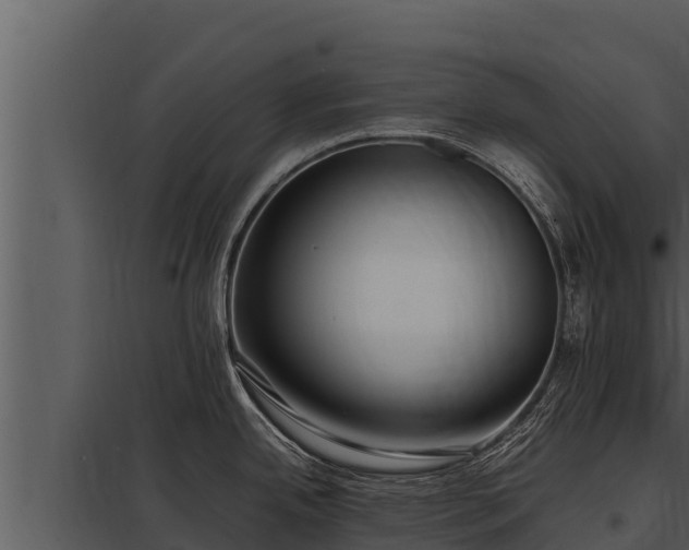 X0000097961342200804011649