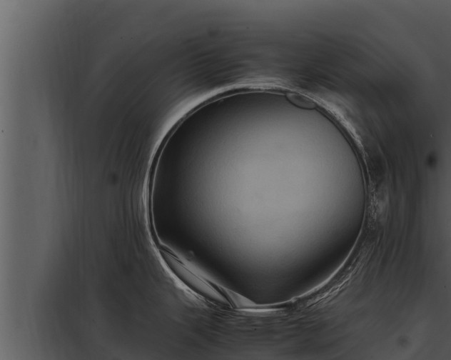 X0000097961343200804011649