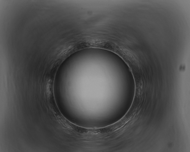 X0000097961346200804011649