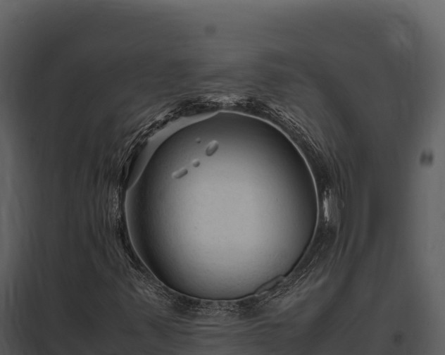 X0000097961347200804011649