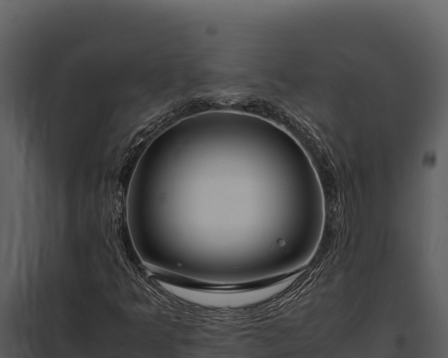 X0000097961349200804011649