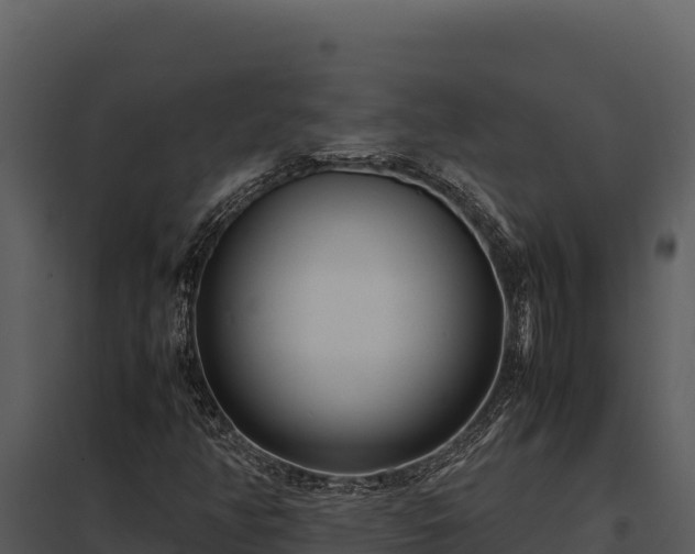 X0000097961350200804011648