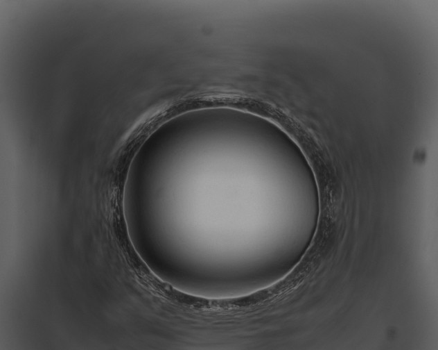 X0000097961351200804011648