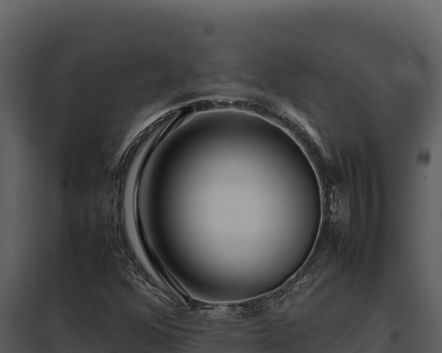 X0000097961352200804011648