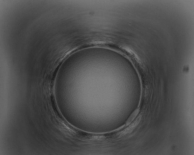 X0000097961353200804011648