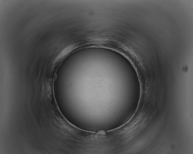X0000097961354200804011648