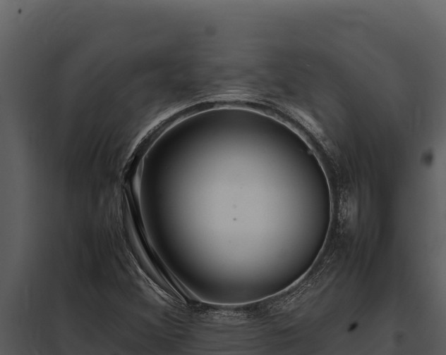 X0000097961356200804011648