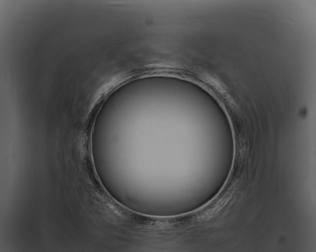 X0000097961357200804011648