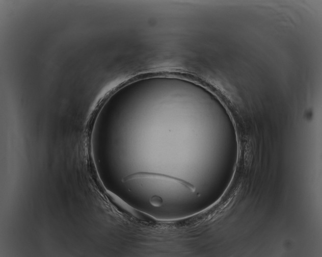 X0000097961358200804011648
